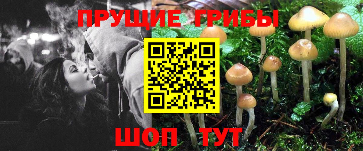 Галлюциногенные грибы ЛСД Орехово-Зуево