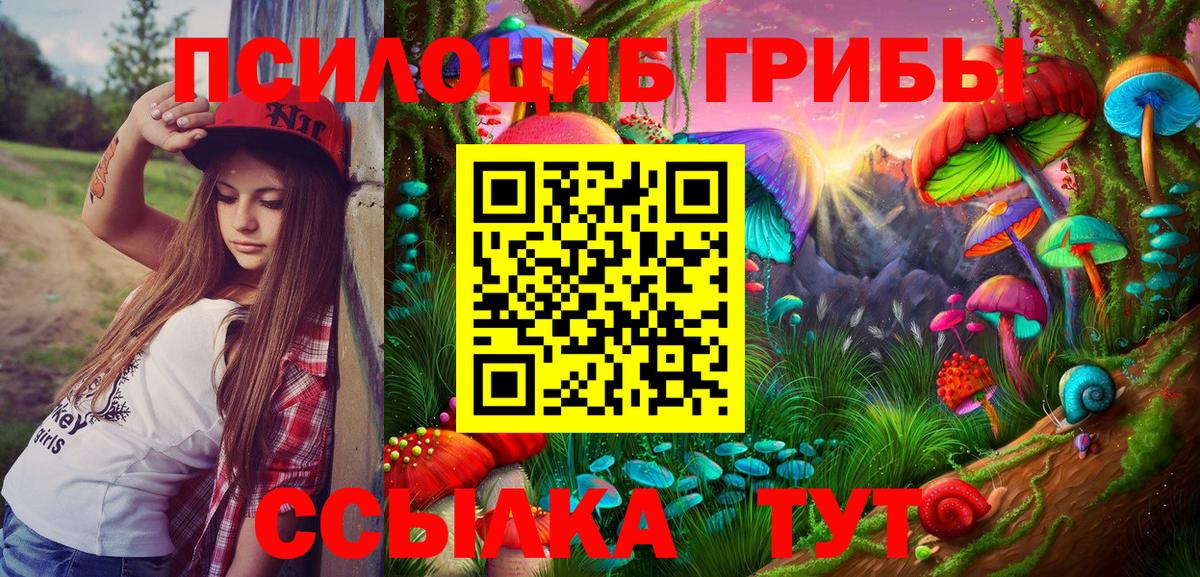 Псилоцибиновые грибы Cubensis  Вход с VPN  Орехово-Зуево 
